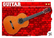 Guitar"